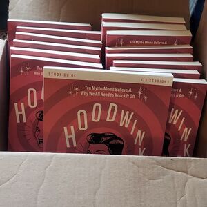 Book Study- Hoodwinked: Ten Myths Moms Believe & Why We All Need To Knock It Off